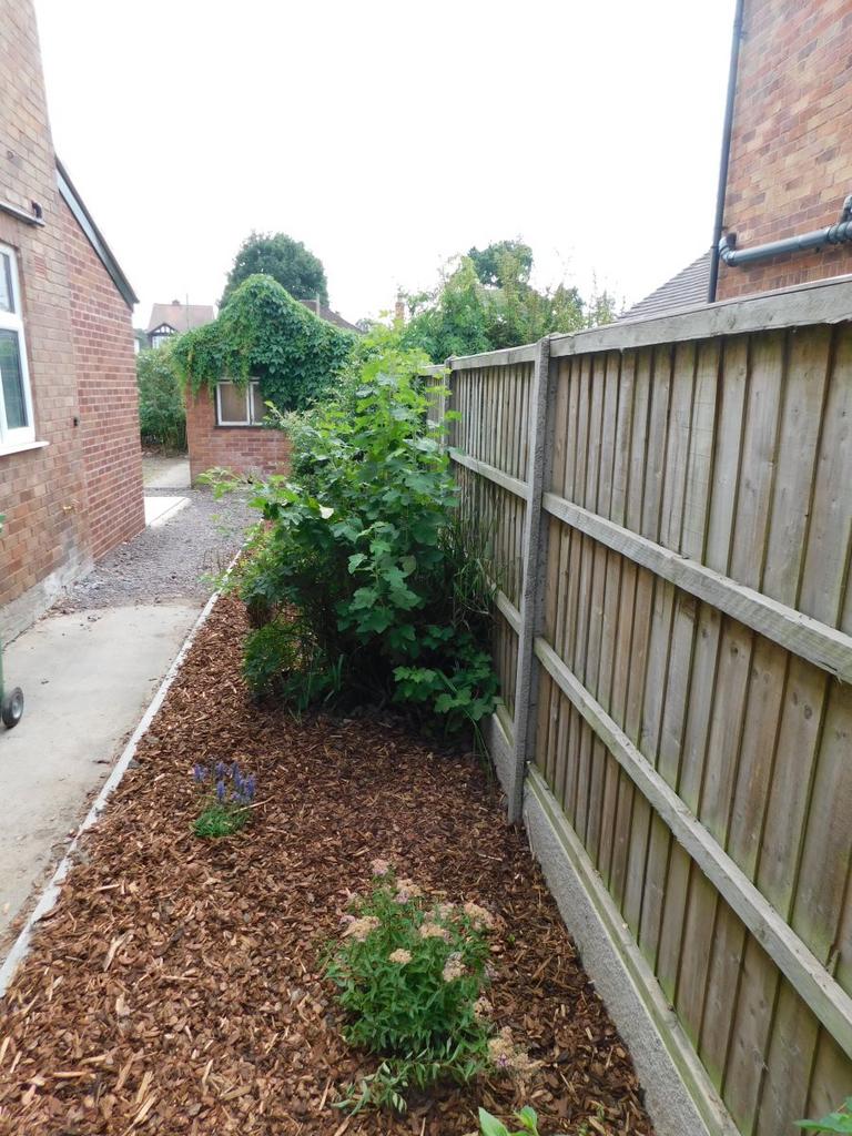 Side Garden