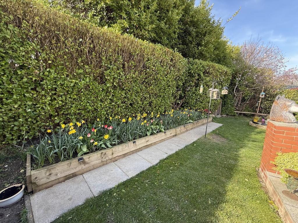 Garden Area
