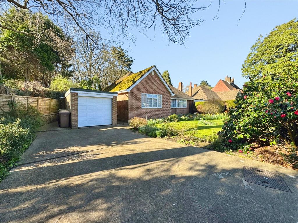 Picture No. 12