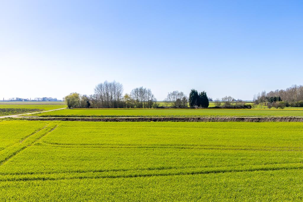 84 Barrier Bank (Cowbit)-7.jpg