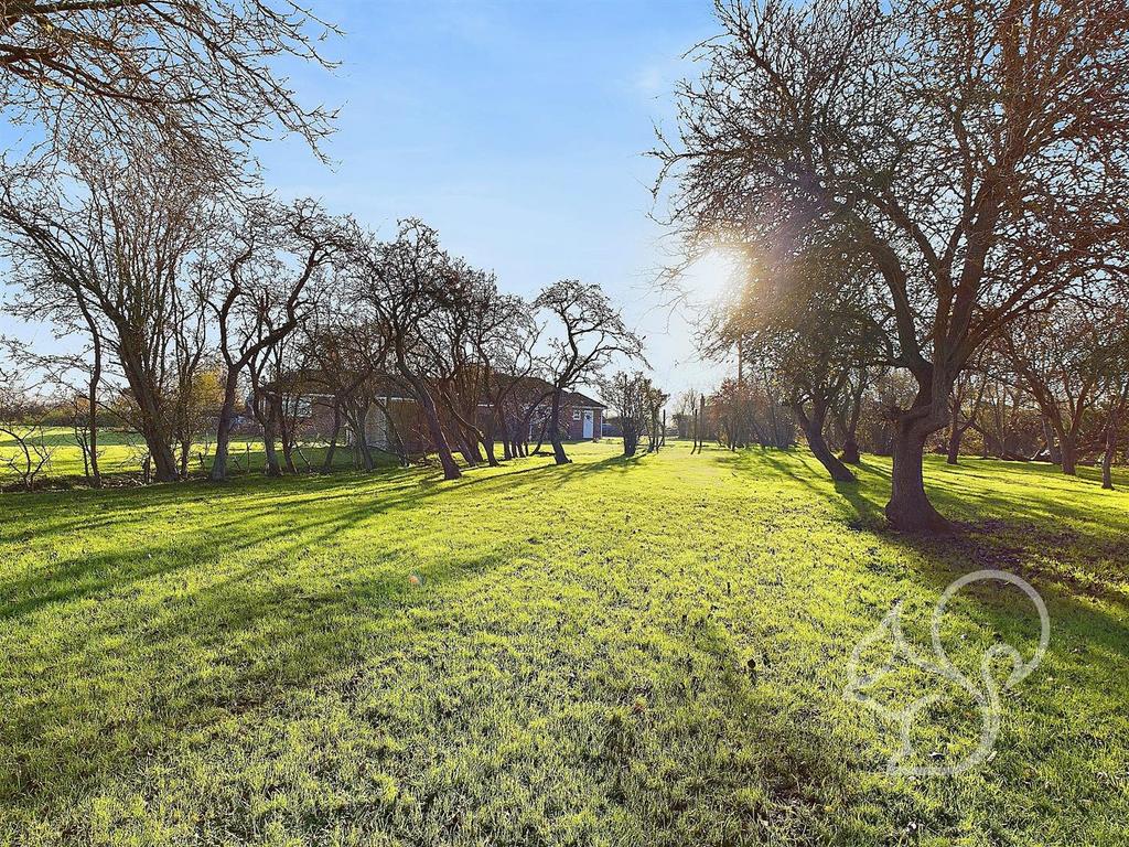Orchard