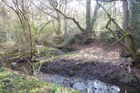 undefined, Great Wood, Stocksfield, Northumberland. NE42