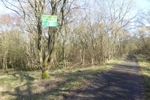 undefined, Great Wood, Stocksfield, Northumberland. NE42
