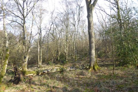 undefined, Great Wood, Stocksfield, Northumberland. NE42