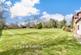Additional image 17 of Wheel Barrow Town, Stelling Minnis, Canterbury, Kent