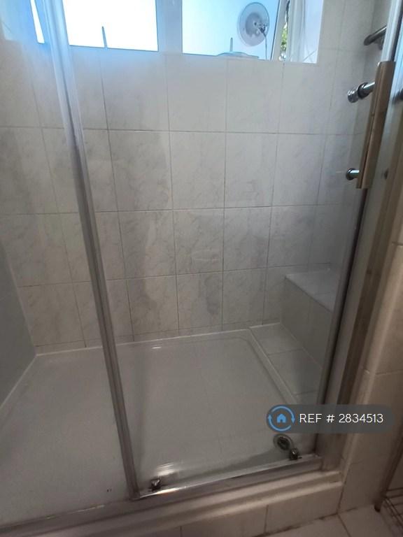 Shower Door