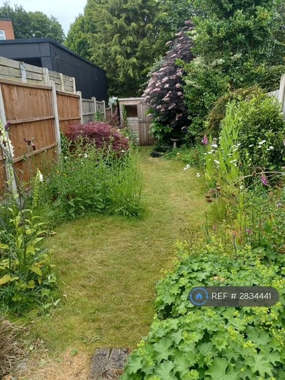 Garden 2