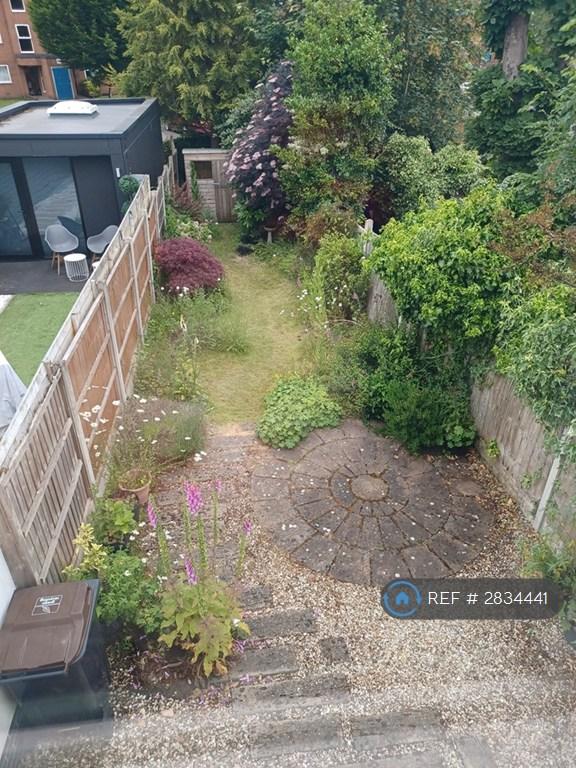 Garden 3