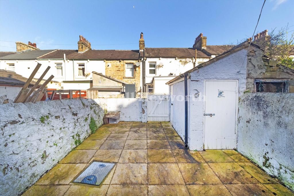 Rear yard view 2