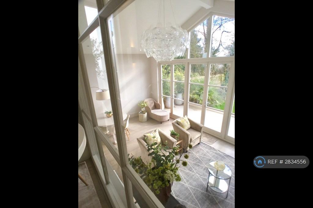 View From Kitchen Table