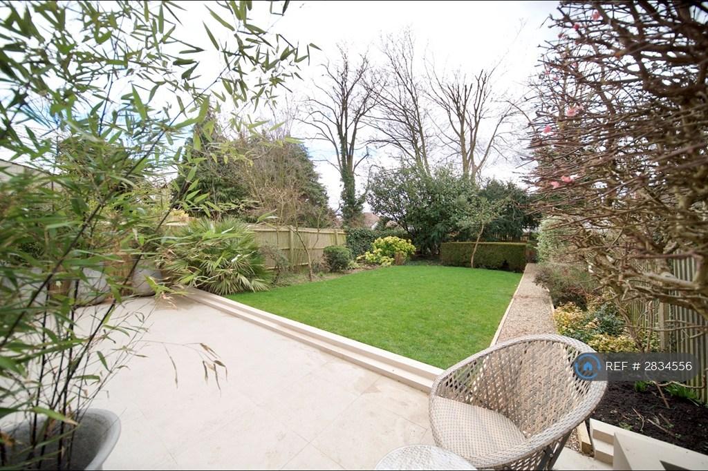 Terrace And Garden