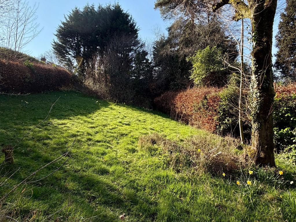 Side Plot