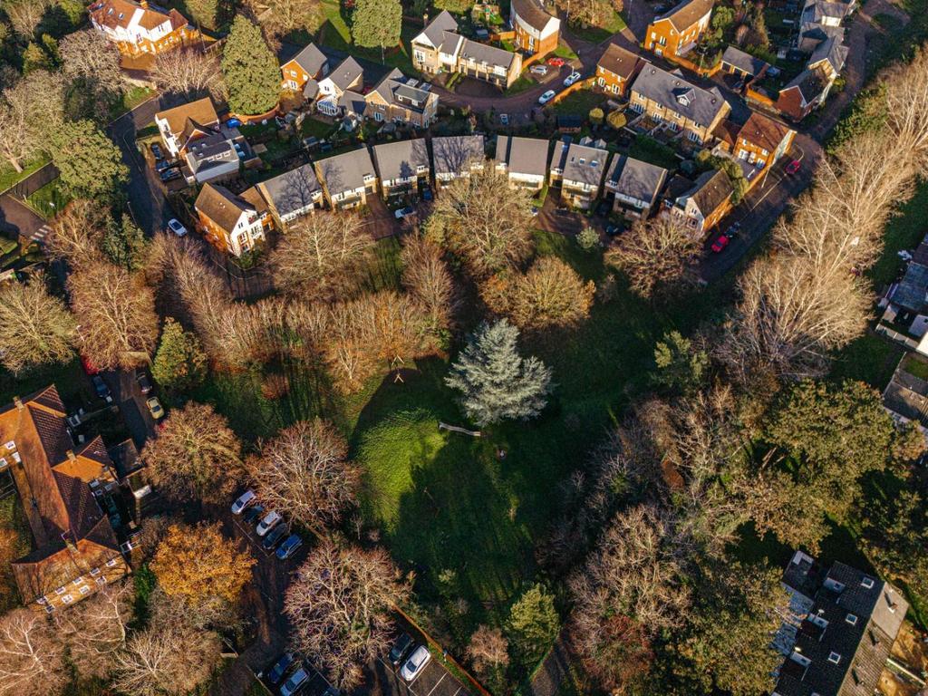 Redwood Drive