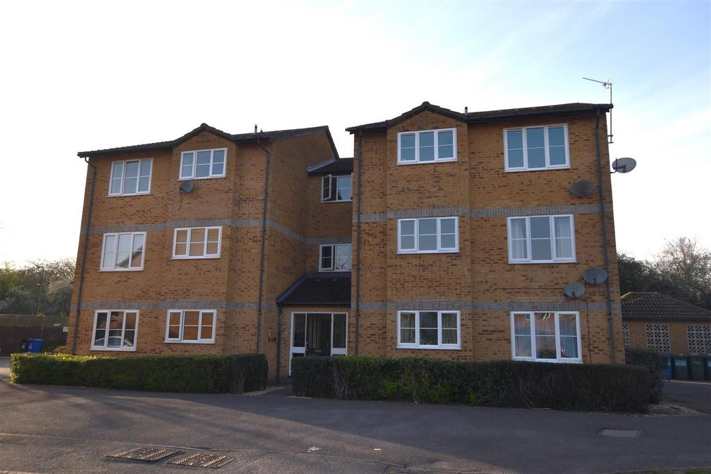 Dsc 0076.jpg
