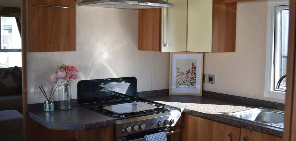ABI Connoisseur at Eastland Meadows Country Park