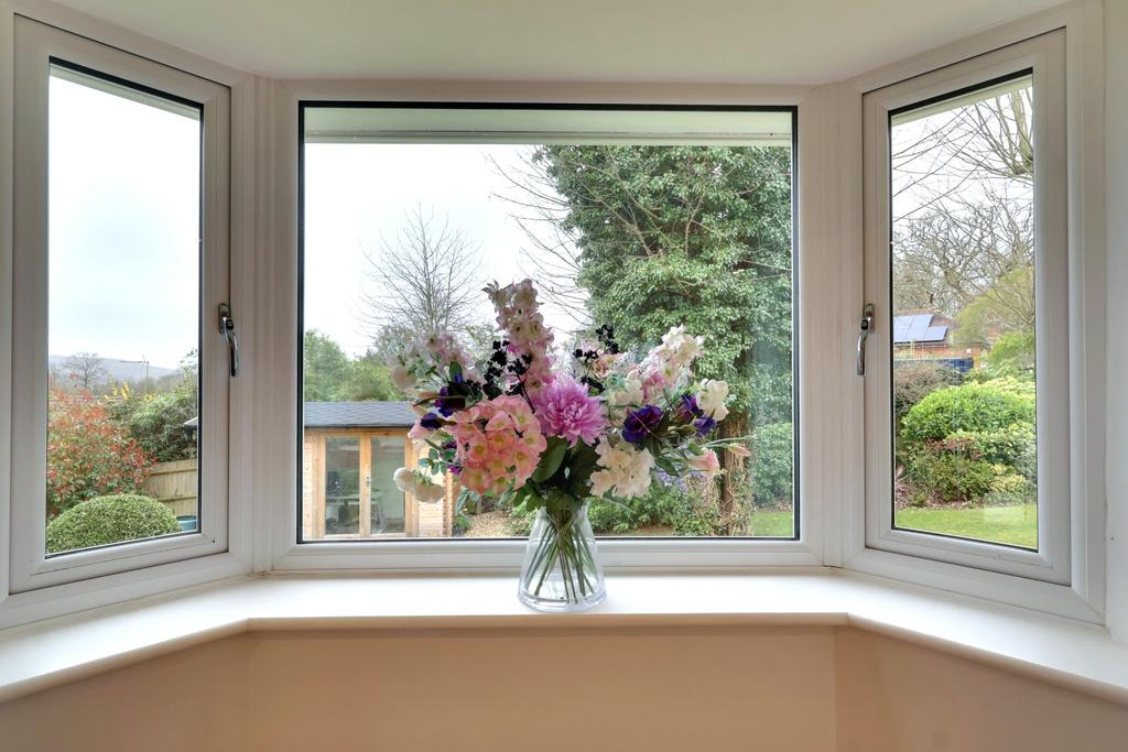 Flowers in window