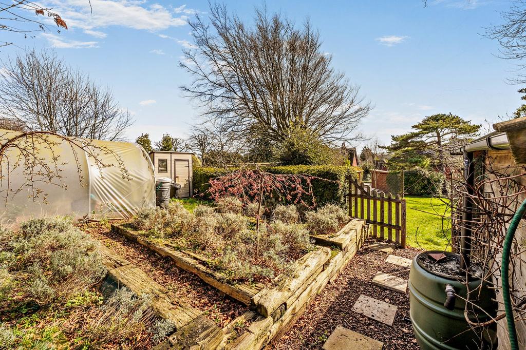 Top Of Garden