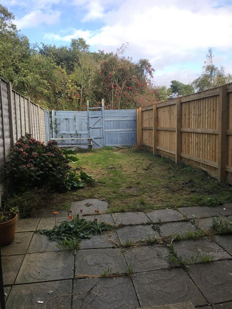 7 gorse garden