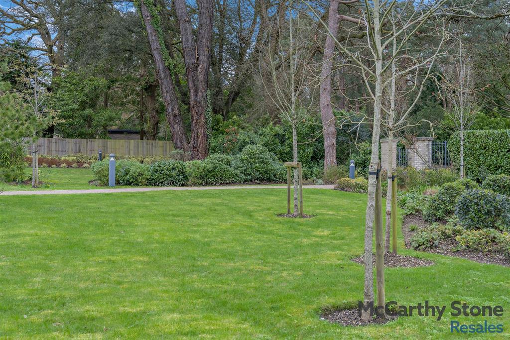 Garden view, garden