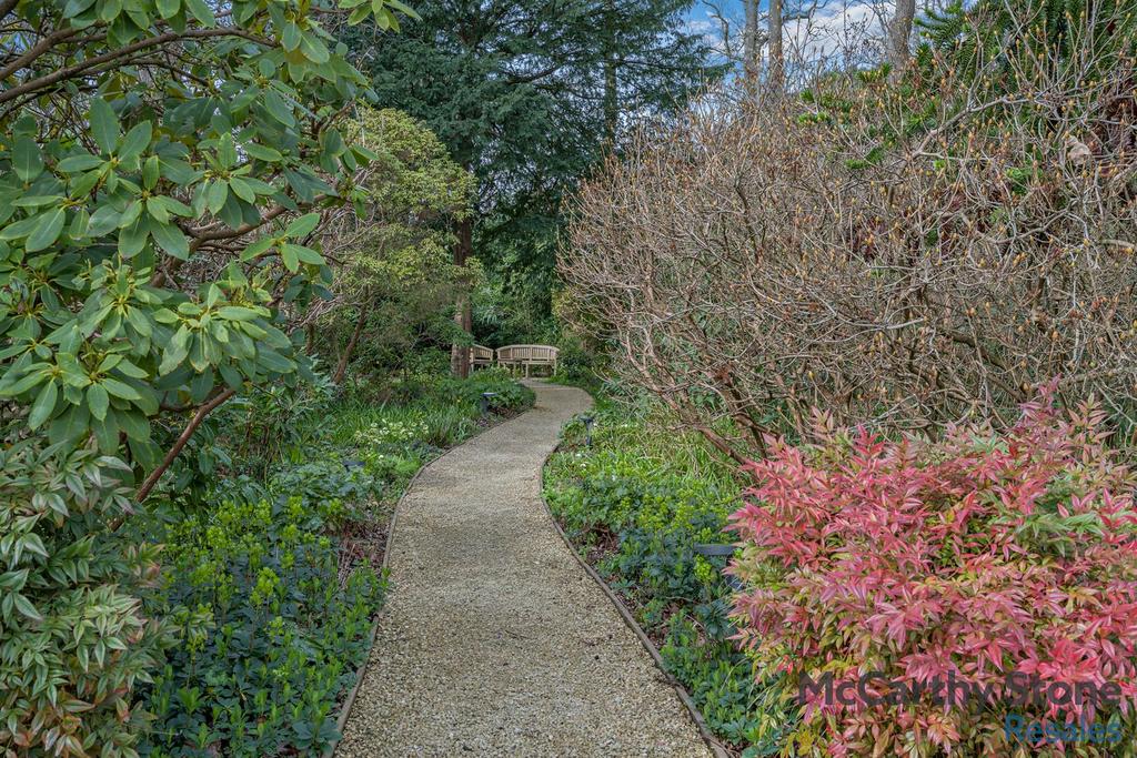 Garden view, garden