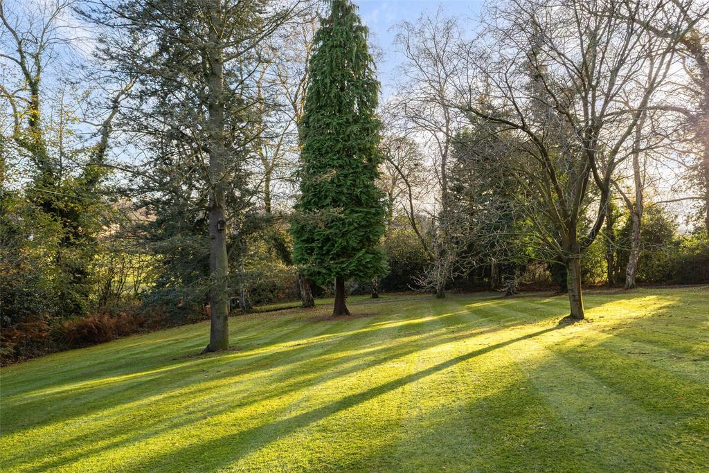 Grounds