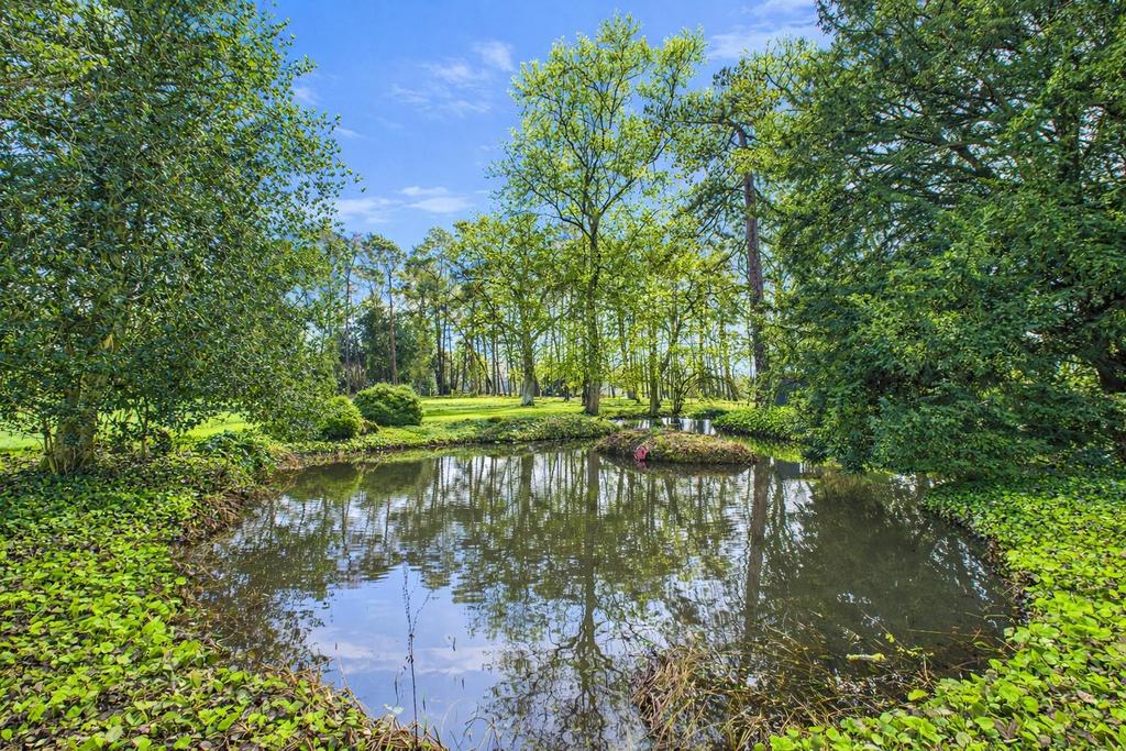 Moat