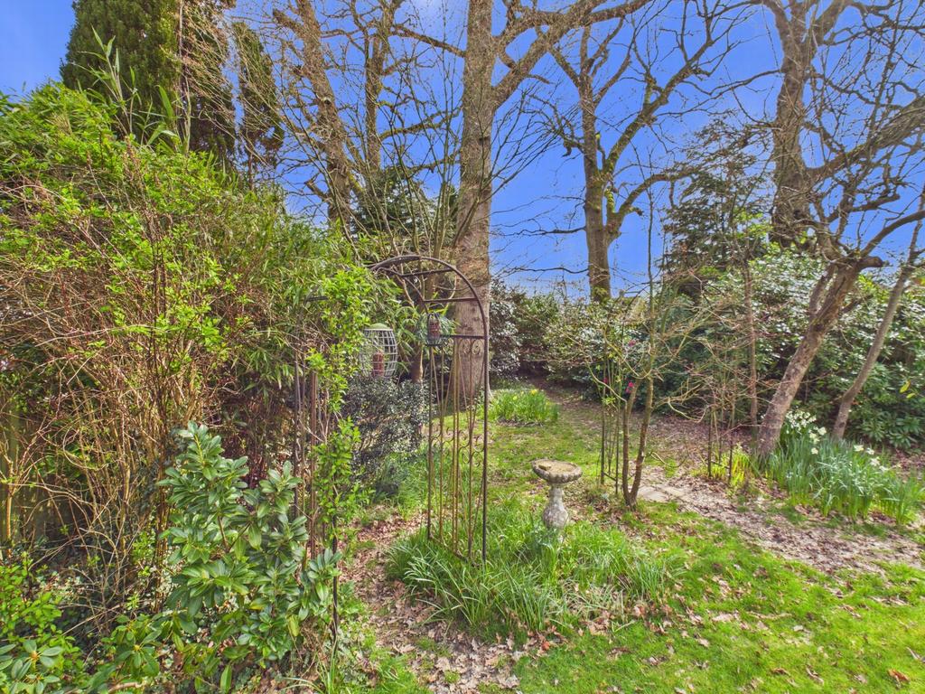 Garden 4