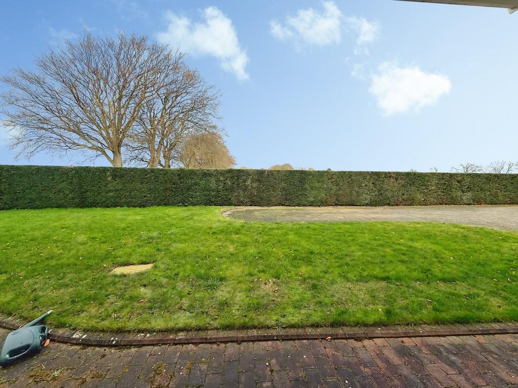 93f565fe-IMG 0864