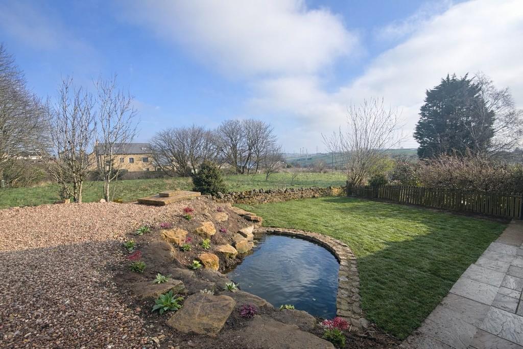 Back garden