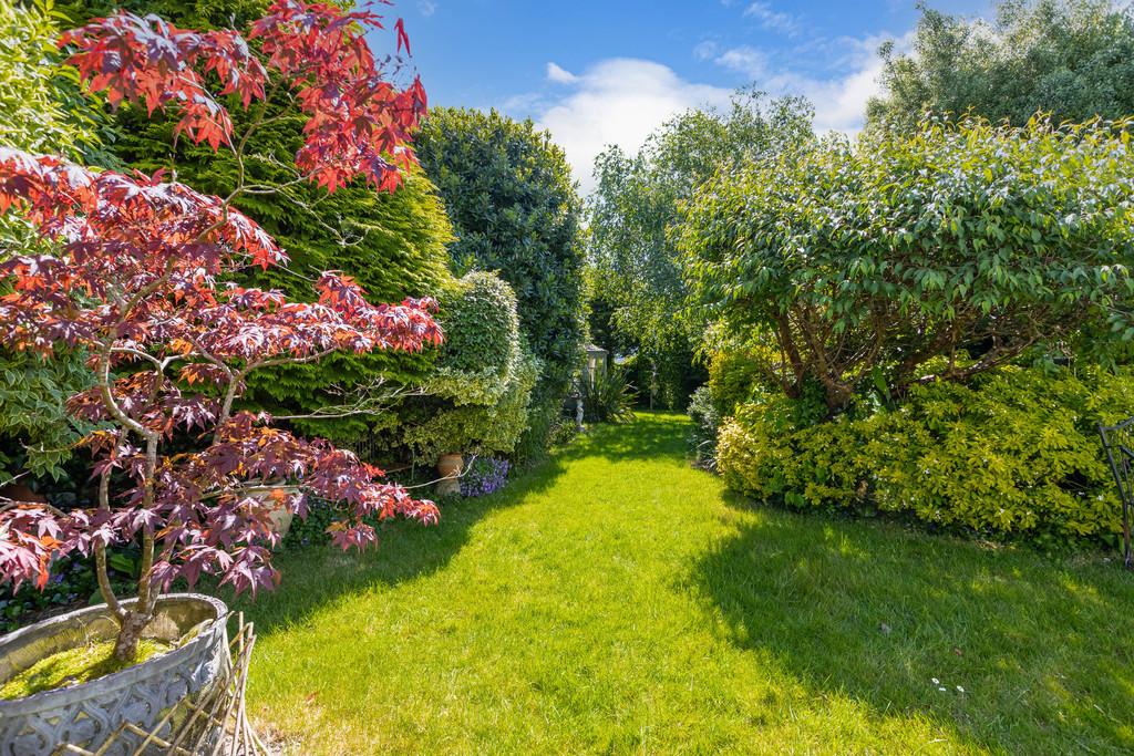 Garden 6