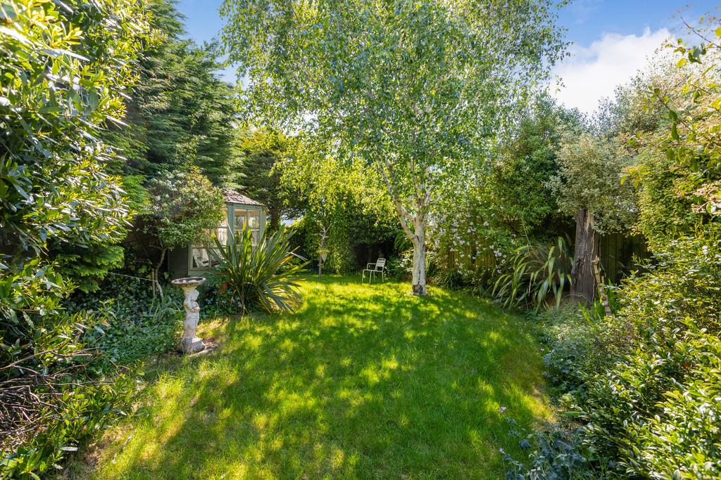 Garden 7