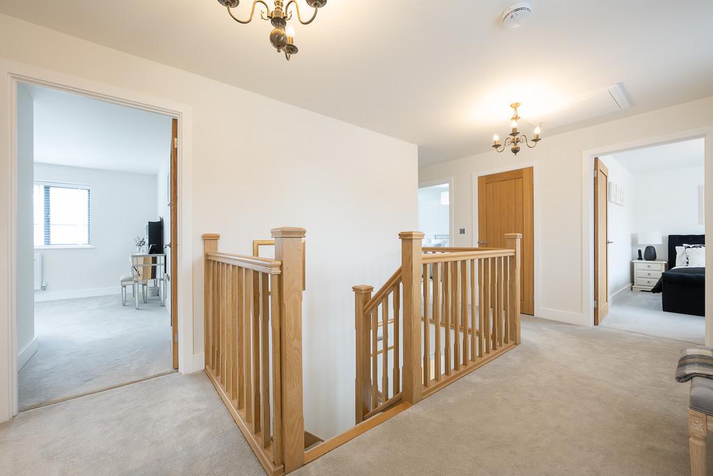 Meadow Edge-26