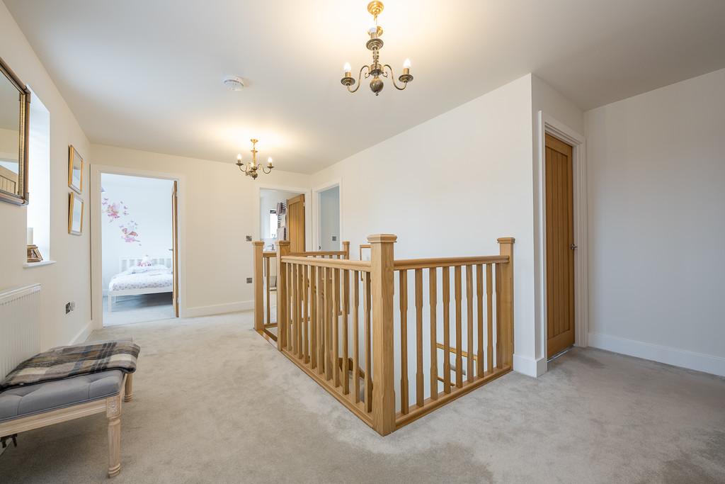 Meadow Edge-29