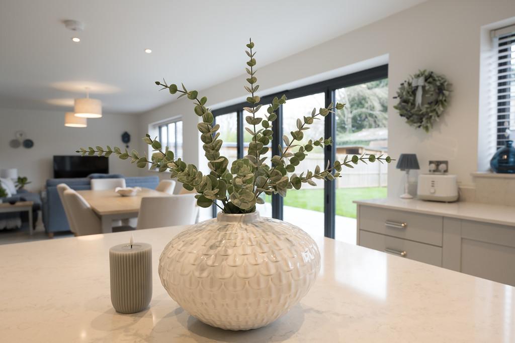 Meadow Edge-78