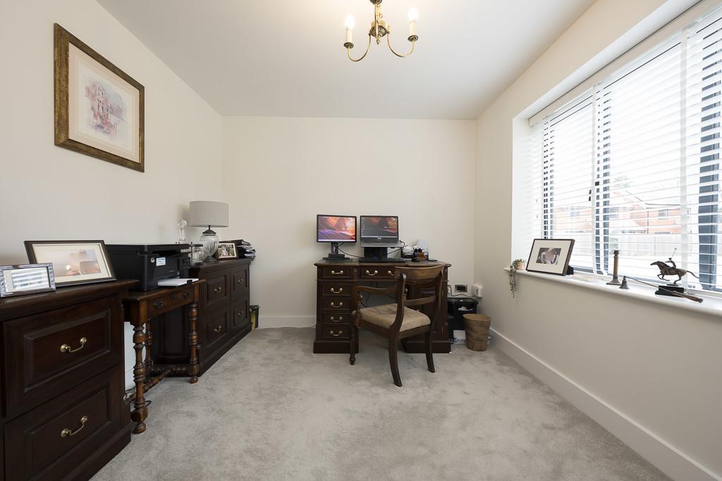 Meadow Edge-56
