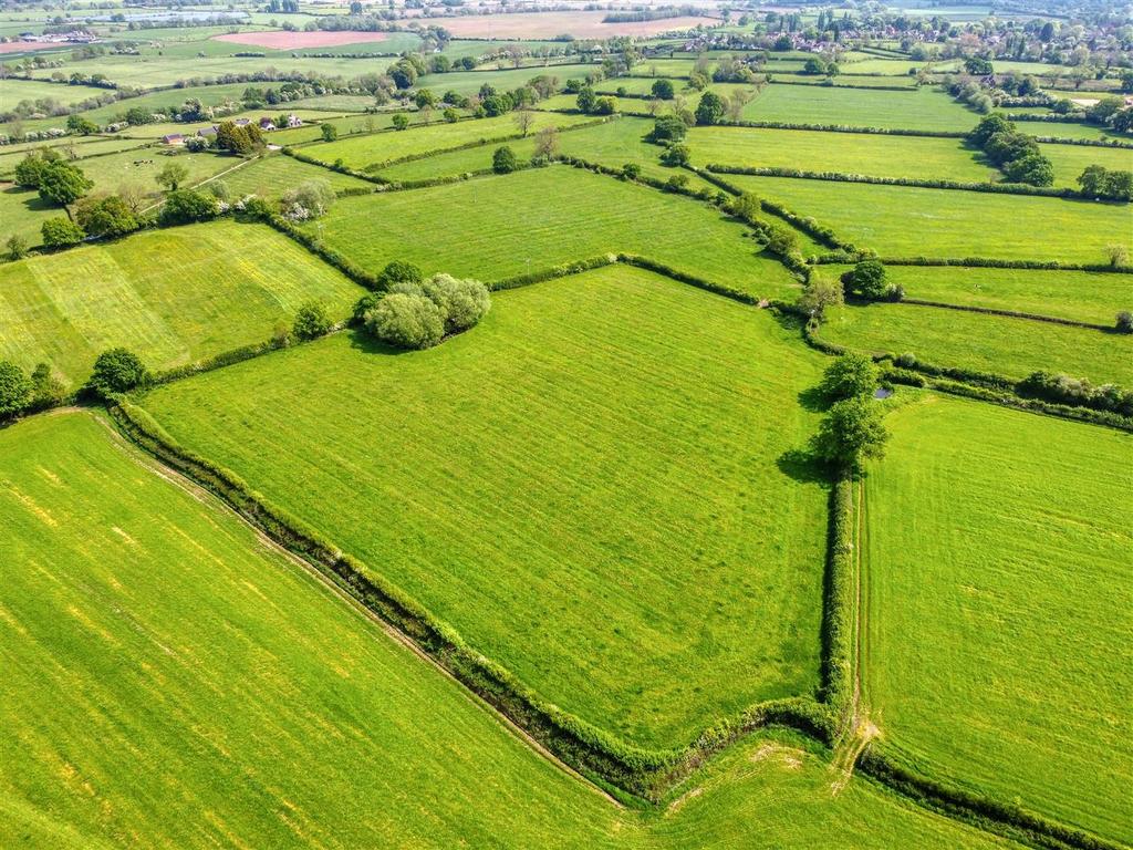 DJI 0117 hdr.jpg