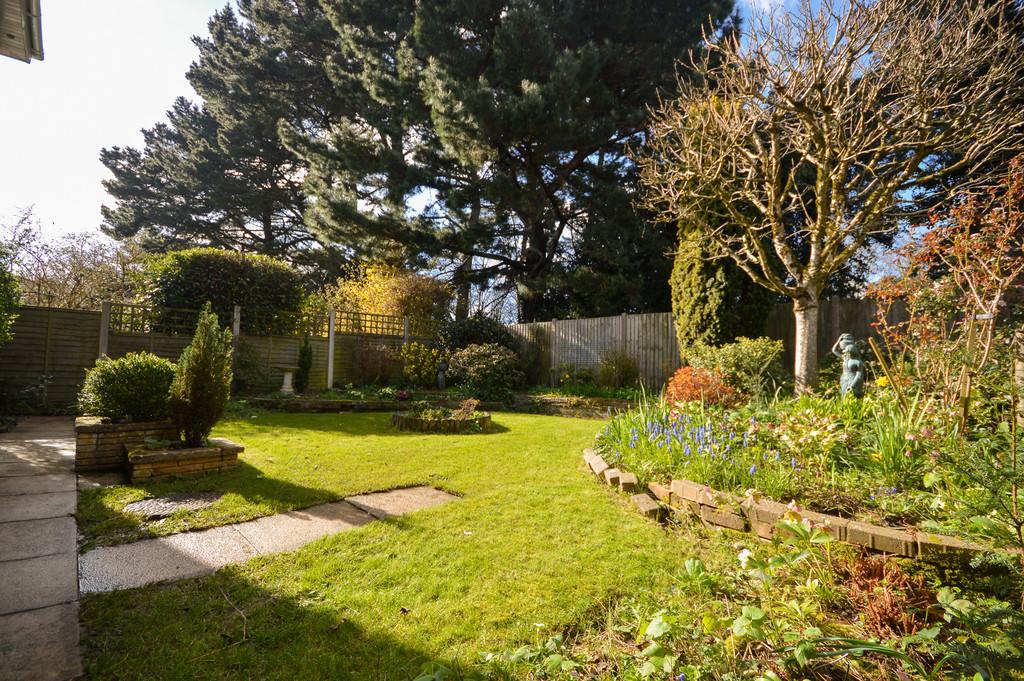 Garden2