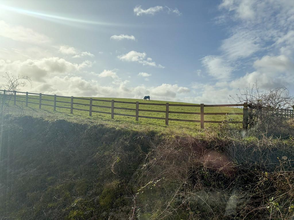 Views over the fields