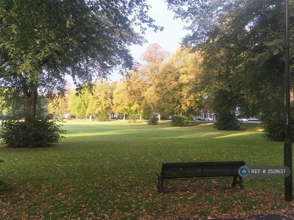View From Front Window