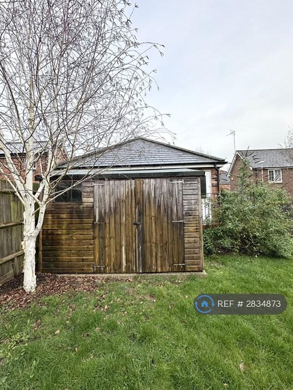 Shed