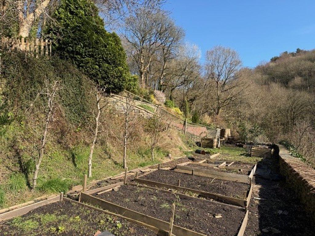 Vegetable Beds