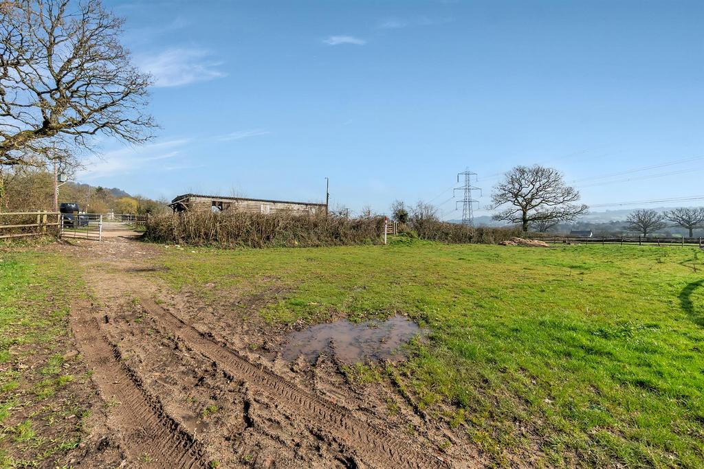Back field of paddock yard