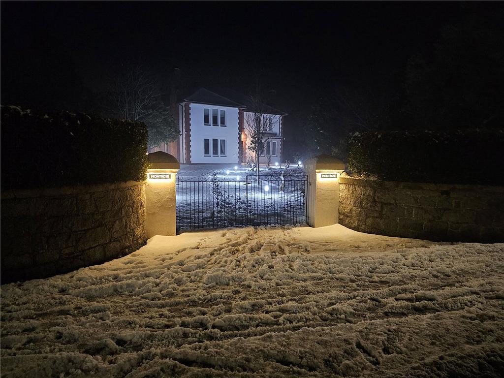 Snowy Night