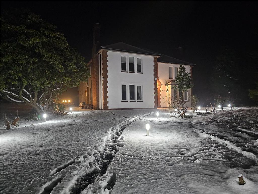 Snowy Night