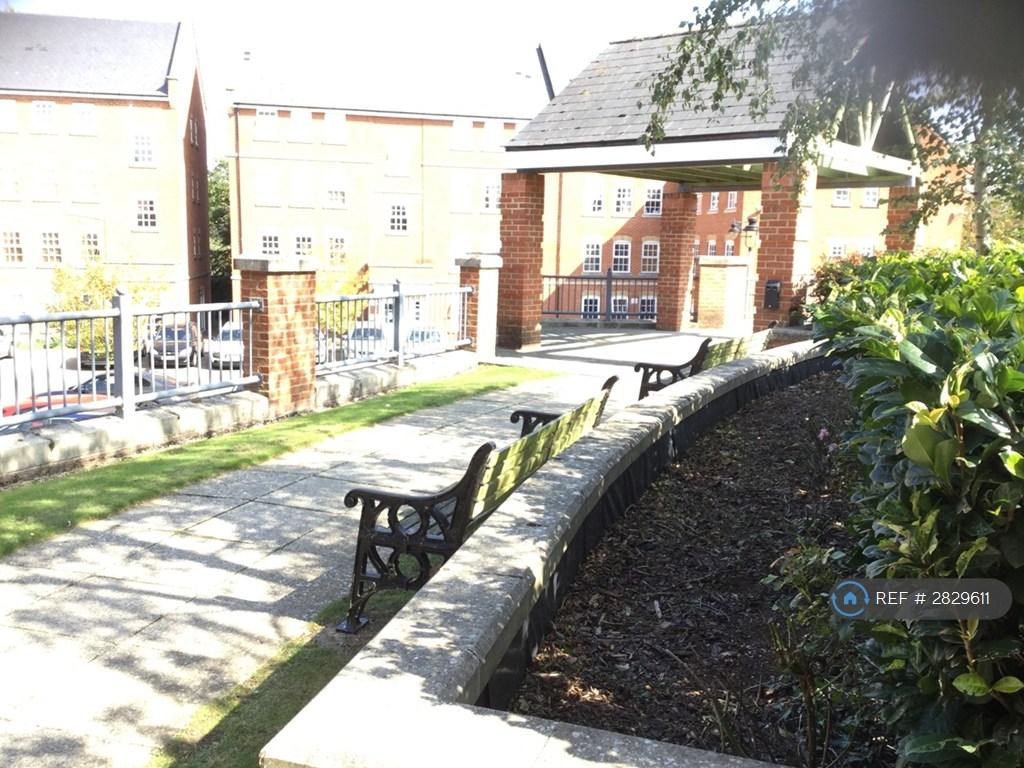 Communal Roof Top Garden