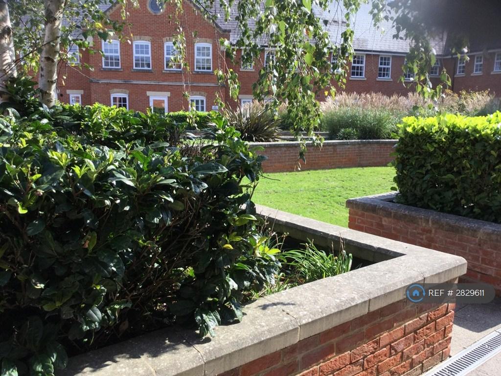 Communal Rooftop Garden