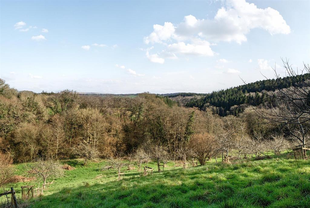 Orchard