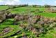 Additional image 24 of Bere Peninsula, West Devon