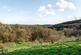 Additional image 32 of Bere Peninsula, West Devon