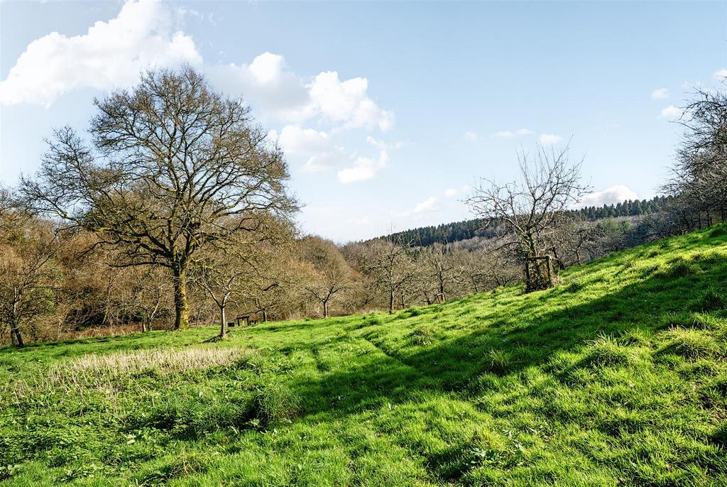 Lot 2 - Orchard